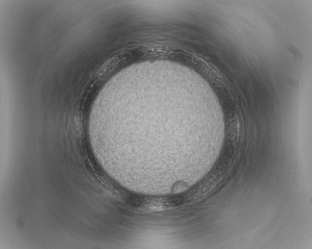 X0000115630757200912081043