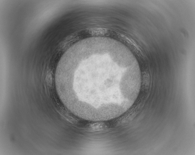 X0000115630761200912081043
