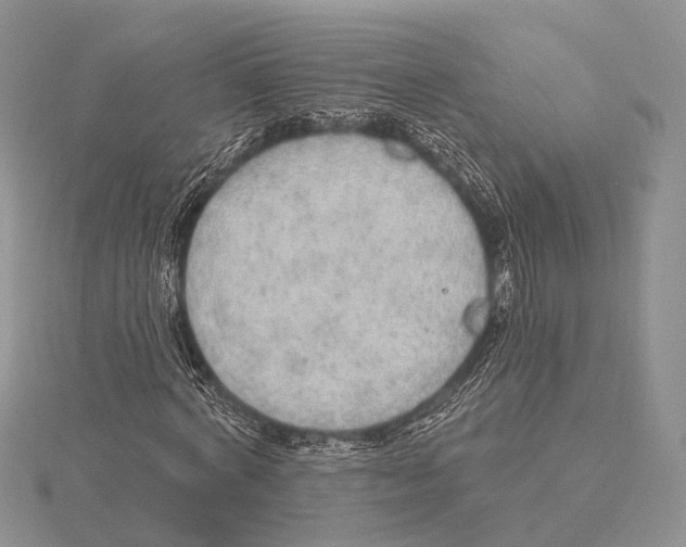 X0000115630772200912081043