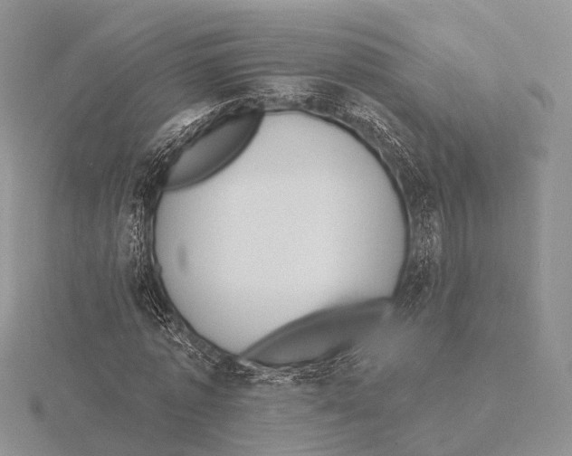 X0000115630773200912081043