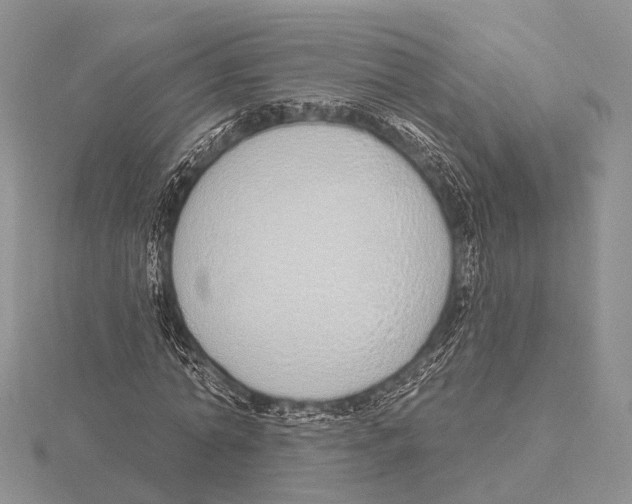 X0000115630774200912081043
