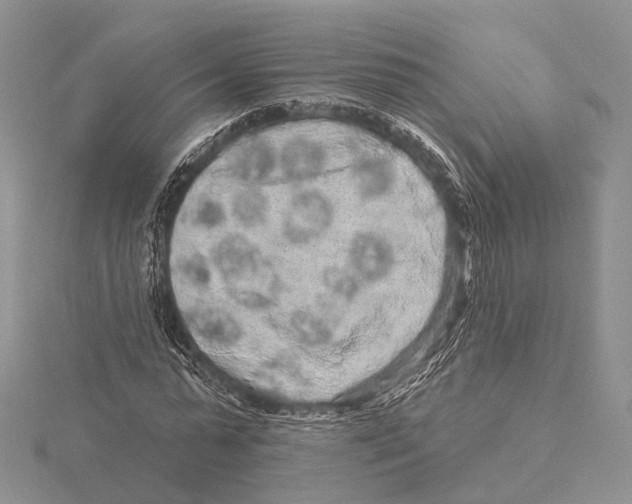 X0000115630775200912081042
