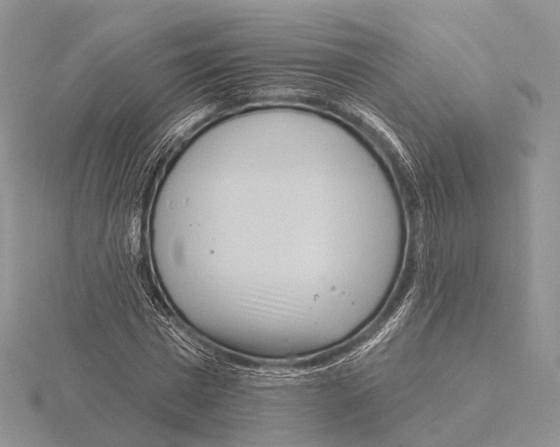 X0000115630777200912081042