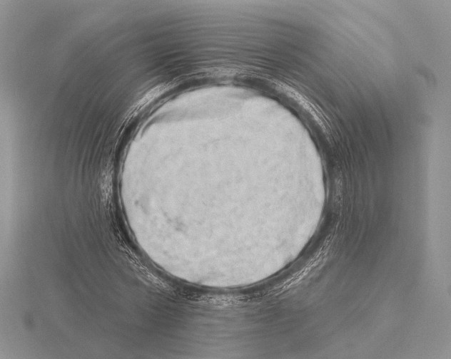 X0000115630778200912081042