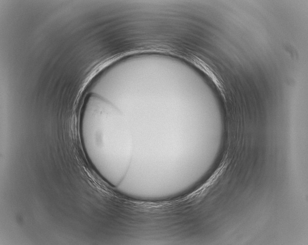 X0000115630781200912081042