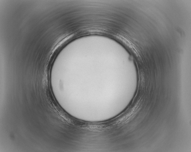 X0000115630782200912081042