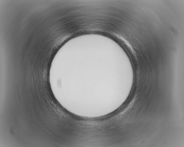 X0000115630785200912081042