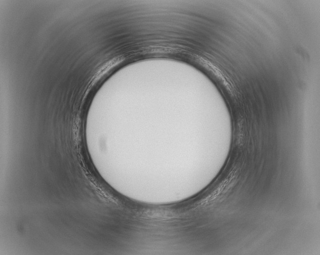 X0000115630786200912081042