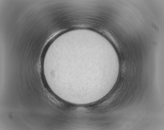 X0000115630787200912081042