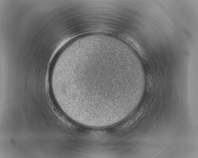 X0000115630788200912081042