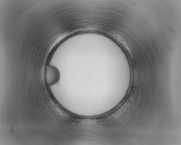X0000115630789200912081042