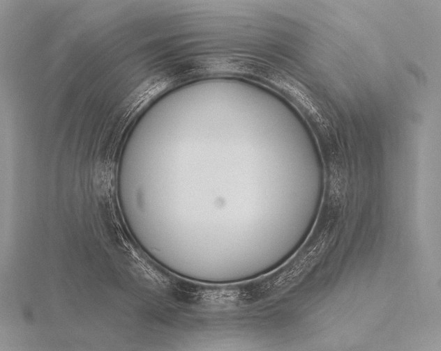 X0000115630793200912081042