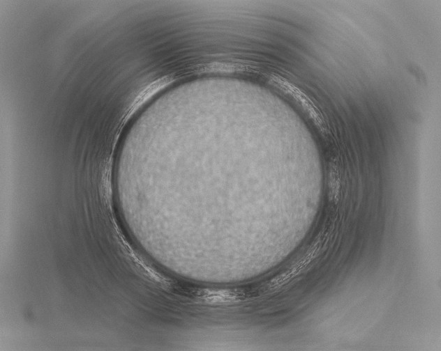 X0000115630794200912081042
