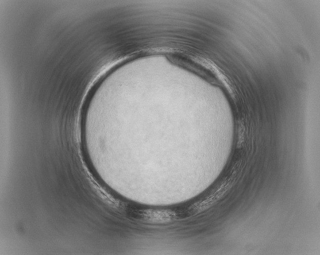 X0000115630795200912081042
