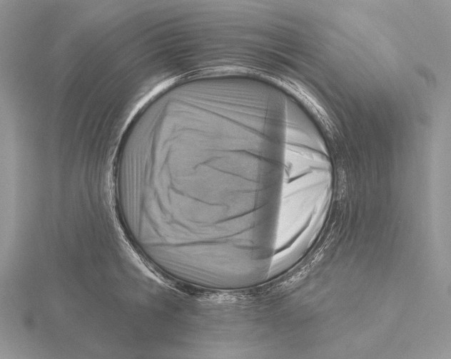 X0000115630806200912081042