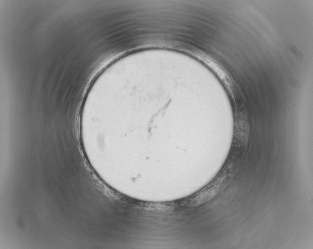 X0000115630807200912081042