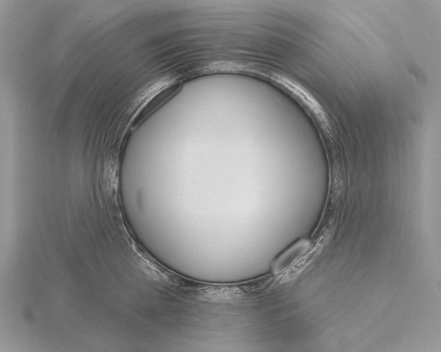 X0000115630809200912081042