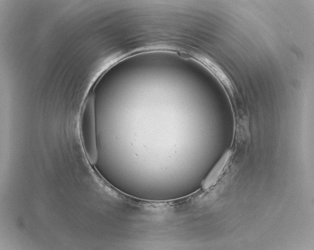 X0000115630813200912081042
