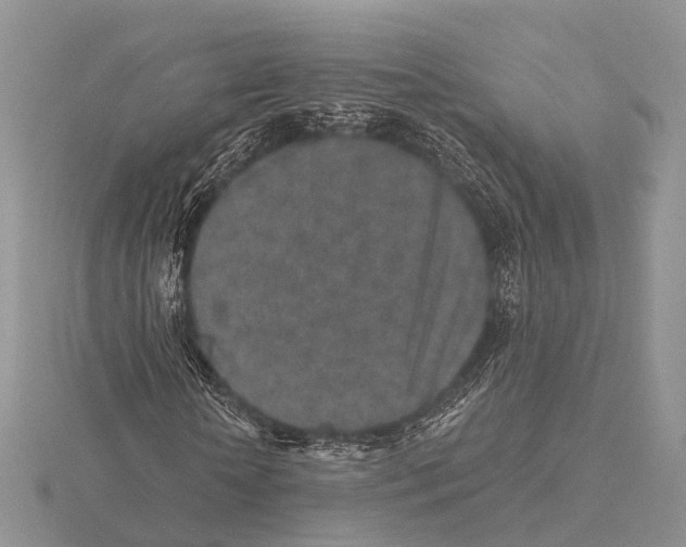 X0000115630818200912081041
