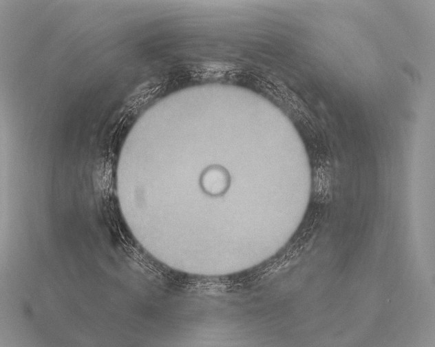 X0000115630820200912081041