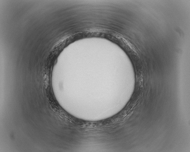 X0000115630821200912081041