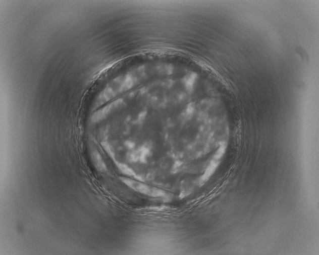 X0000115630822200912081041