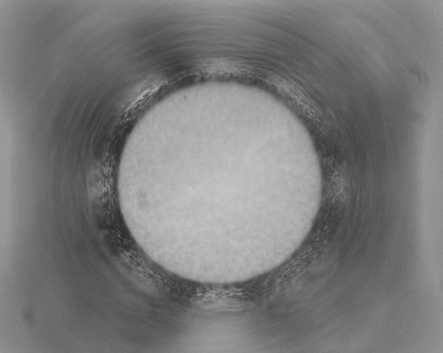 X0000115630824200912081041