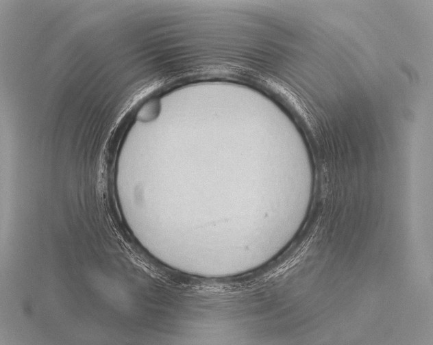 X0000115630827200912081041