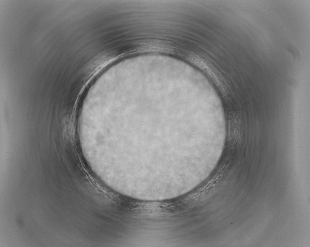 X0000115630828200912081041