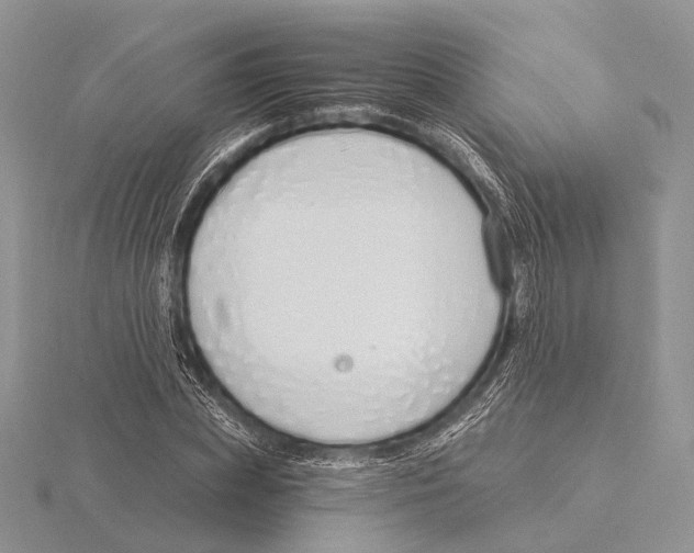 X0000115630831200912081041