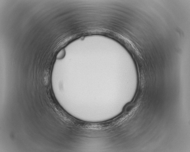 X0000115630833200912081041
