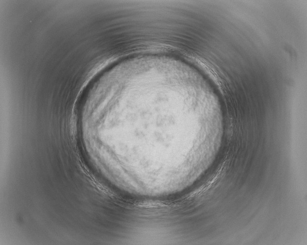 X0000115630835200912081041