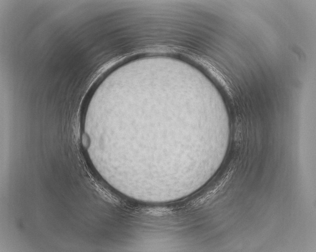 X0000115630837200912081041