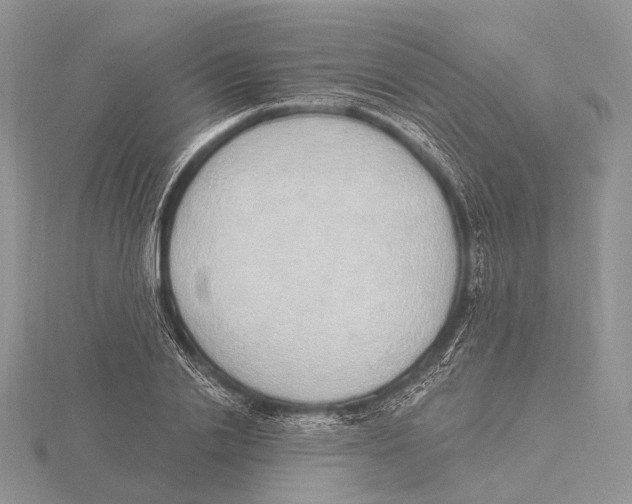 X0000115630838200912081041