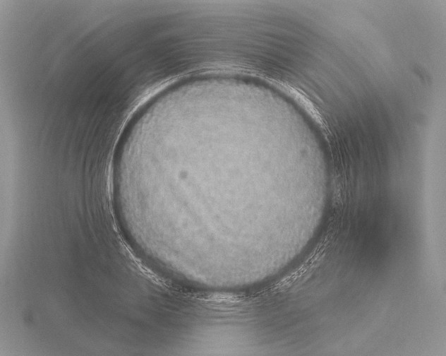X0000115630839200912081041