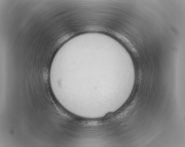 X0000115630841200912081041
