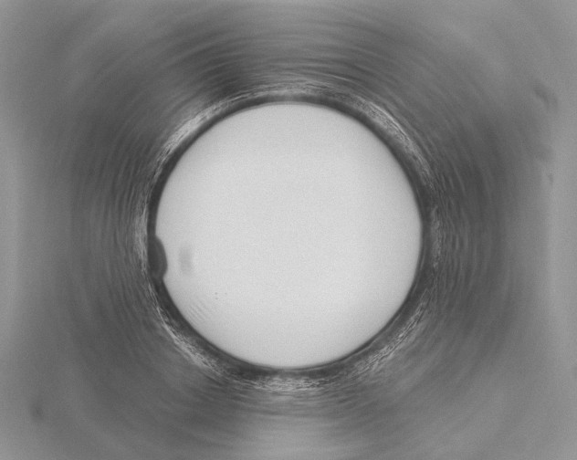 X0000115630842200912081042