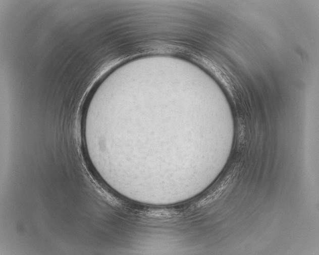 X0000115630843200912081042