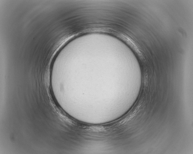 X0000115630844200912081042