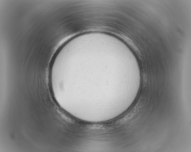 X0000115630846200912081042