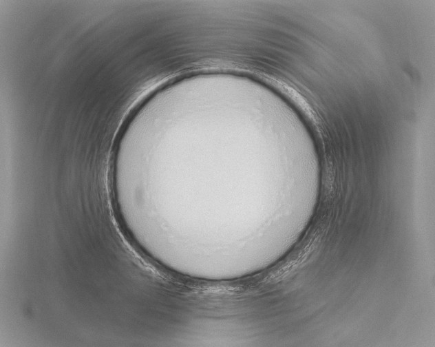X0000115630847200912081042