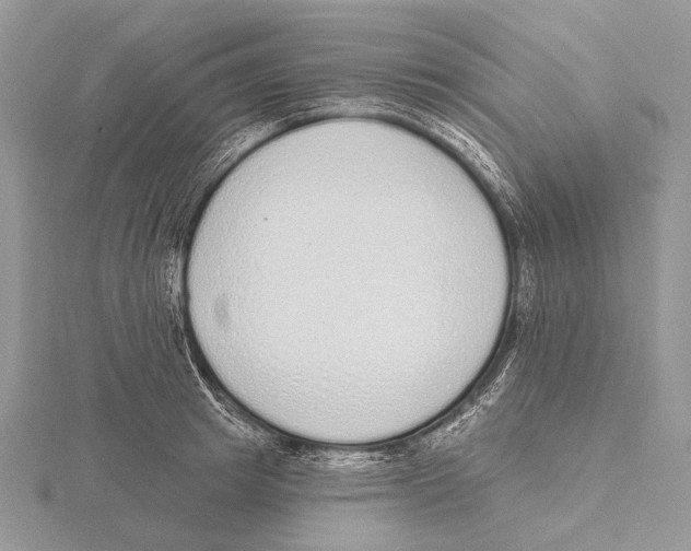 X0000115630849200912081042