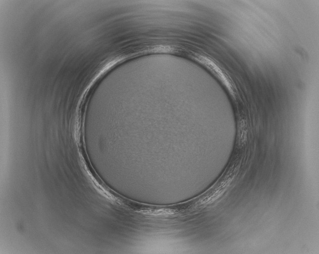 X0000115630851200912081042