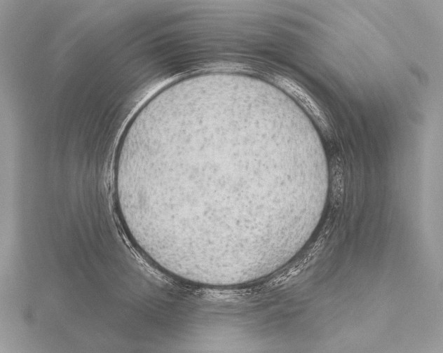 X0000115630852200912081042