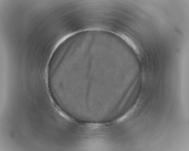 X0000115630854200912081042
