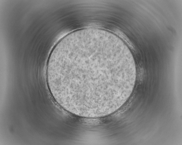 X0000115630856200912081042