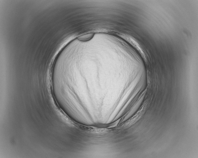 X0000115630859200912081042