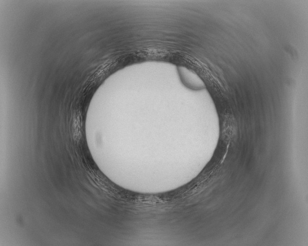 X0000115630866200912081041