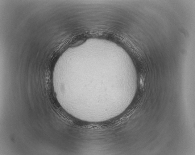 X0000115630867200912081041