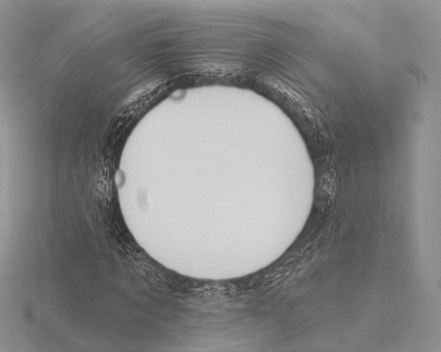 X0000115630869200912081041